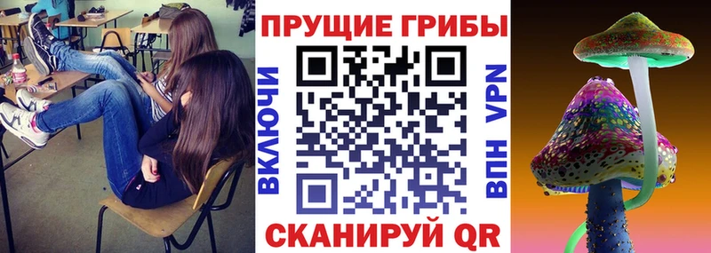 Галлюциногенные грибы Magic Shrooms  МЕГА онион  Очёр 